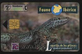 Tarjetas telef&oacute;nicas de colecci&oacute;n: tarjeta telef&oacute;nica - Foto 1