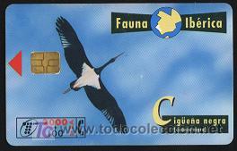 Carte telefoniche di collezione: tarjeta telef&oacute;nica Fauna Ib&eacute;rica ( Cig&uuml;e&acute;&ntilde;a negra )