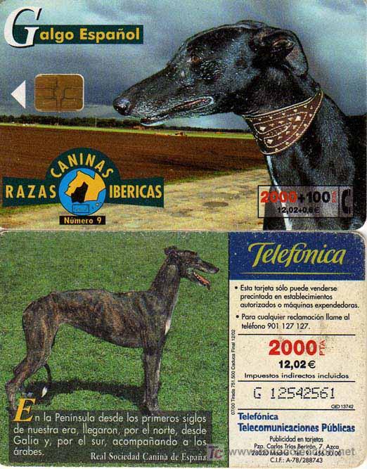 Tarjetas telef&oacute;nicas de colecci&oacute;n: TT USADA: 2000-07 GALGO ESPA&Ntilde;OL - Foto 1