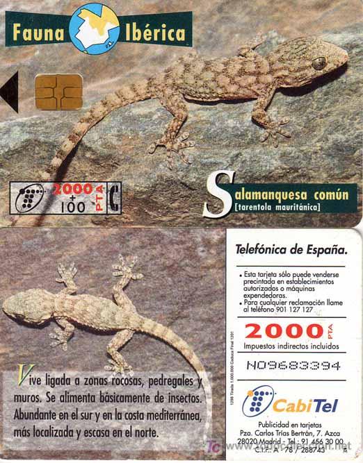 Tarjetas telef&oacute;nicas de colecci&oacute;n: TT USADA: 1998-12 SALAMANQUESA COM&Uacute;N - Foto 1