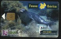 Carte telefoniche di collezione: tarjeta telef&oacute;nica - fauna ib&eacute;rica (foca monje)