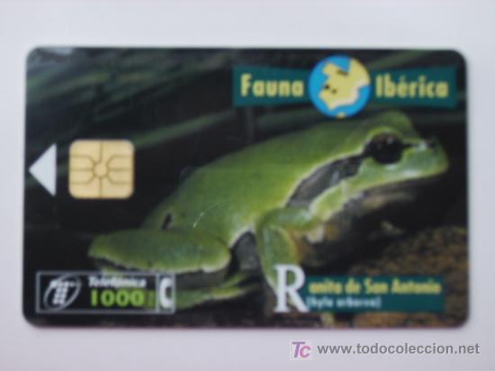 Cart&otilde;es de telefone de cole&ccedil;&atilde;o: TARJETA TELEFONO FAUNA IBERICA