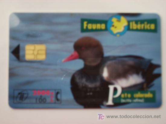 Cart&otilde;es de telefone de cole&ccedil;&atilde;o: TARJETA TELEFONO FAUNA IBERICA