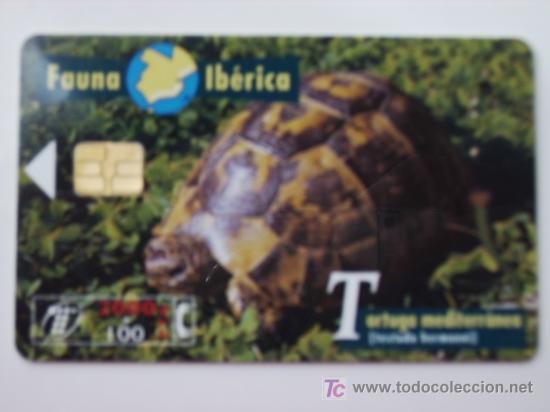 Cart&otilde;es de telefone de cole&ccedil;&atilde;o: TARJETA TELEFONO FAUNA IBERICA