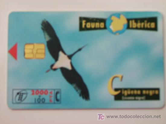 Cart&otilde;es de telefone de cole&ccedil;&atilde;o: TARJETA TELEFONO FAUNA IBERICA