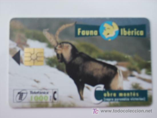 Cart&otilde;es de telefone de cole&ccedil;&atilde;o: TARJETA TELEFONO DE FAUNA IBERICA