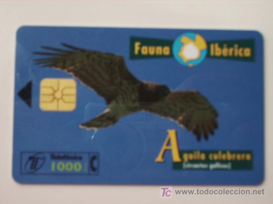 Cart&otilde;es de telefone de cole&ccedil;&atilde;o: TARJETA TELEFONO FAUNA IBERICA