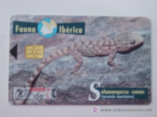 Cart&otilde;es de telefone de cole&ccedil;&atilde;o: TARJETA TELEFONO FAUNA IBERICA