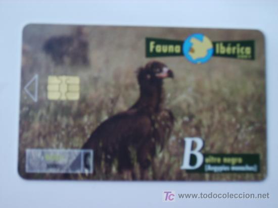 Cart&otilde;es de telefone de cole&ccedil;&atilde;o: TARJETA TELEFONO FAUNA IBERICA