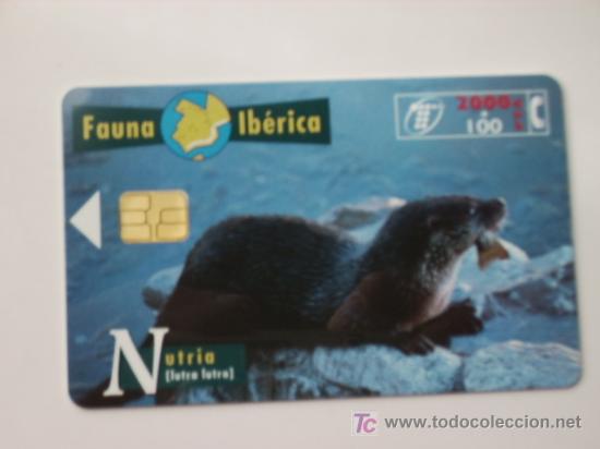 Cart&otilde;es de telefone de cole&ccedil;&atilde;o: TARJETA TELEFONO DE FAUNA IBERICA