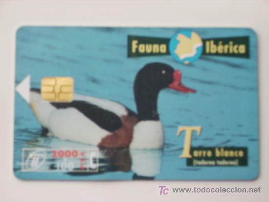 Cart&otilde;es de telefone de cole&ccedil;&atilde;o: TARJETA TELEFONO FAUNA IBERICA