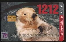 Tarjetas telef&oacute;nicas de colecci&oacute;n: tarjeta telef&oacute;nica - Foto 1