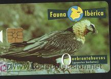 Cartes T&eacute;l&eacute;phoniques de collection: tarjeta telef&oacute;nica - fauna ib&eacute;rica ( quebrantahuesos )