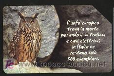 Tarjetas telef&oacute;nicas de colecci&oacute;n: tarjeta telef&oacute;nica - Foto 1