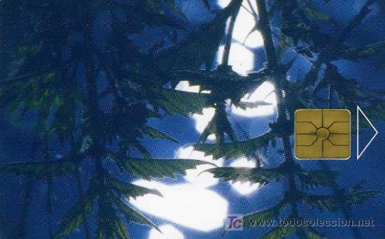 Carte telefoniche di collezione: TARJETA TELEFONICA TELECARD. USADA