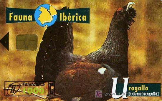 Tarjetas telef&oacute;nicas de colecci&oacute;n: TARJETA TELEFONICA . USADA - Foto 1