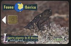 Carte telefoniche di collezione: tarjeta telef&oacute;nica - Fauna Ib&eacute;rica ( Lagarto gigante de El Hierro )