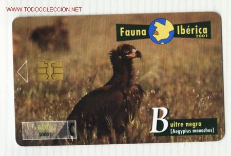 Tarjetas telef&oacute;nicas de colecci&oacute;n: TARJETA TELEFONICA    FAUNA   IBERICA, BUITRE NEGRO