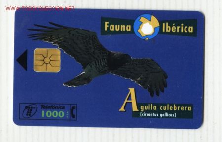 Tarjetas telef&oacute;nicas de colecci&oacute;n: TARJETA  TELEF&oacute;NICA   FAUNA   IBERICA (&aacute;guila culebrera)
