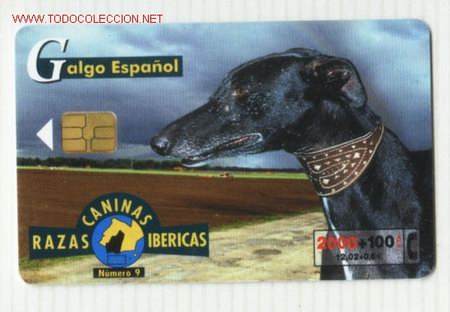 Cartes T&eacute;l&eacute;phoniques de collection: TARJETA TELEFONICA   RAZAS   CANINAS   IBERICAS