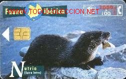 Cartes T&eacute;l&eacute;phoniques de collection: tarjeta telef&oacute;nica-fauna ib&eacute;rica-tirada 1.000.000