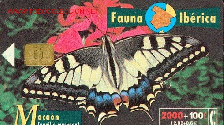Cartes T&eacute;l&eacute;phoniques de collection: Mariposa Maca&oacute;n. Fauna ib&eacute;rica. Tarjeta telef&oacute;nica.