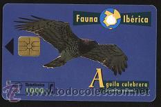 Tarjetas telef&oacute;nicas de colecci&oacute;n: tarjeta telef&oacute;nica - Fauna Ib&eacute;rica ( &Aacute;guila culebrera )