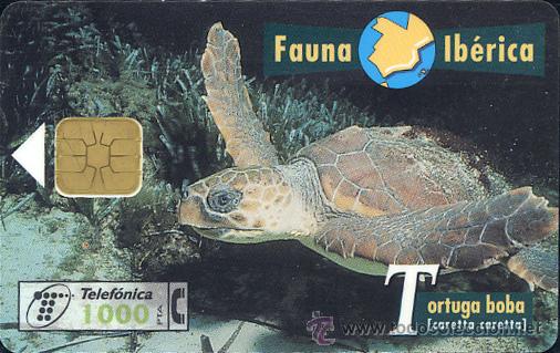 Tarjetas telef&oacute;nicas de colecci&oacute;n: TARJETA TELEF&Oacute;NICA SERIE FAUNA IB&Eacute;RICA (Tortuga boba)