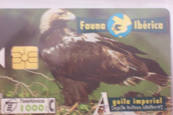 Tarjetas telef&oacute;nicas de colecci&oacute;n: TARJETA TELEFONICAFAUNA IBERICA-AGUILA