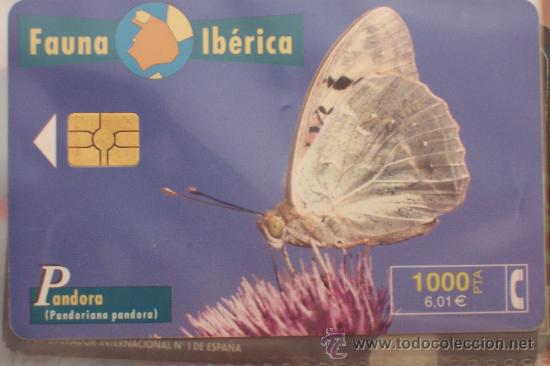 Tarjetas telef&oacute;nicas de colecci&oacute;n: TARJETA TELEFONICA-FAUNA IBERICA-PANDORA