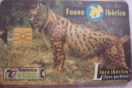 Tarjetas telef&oacute;nicas de colecci&oacute;n: TARJETA TELEFONICAFAUNA IBERICA-lince