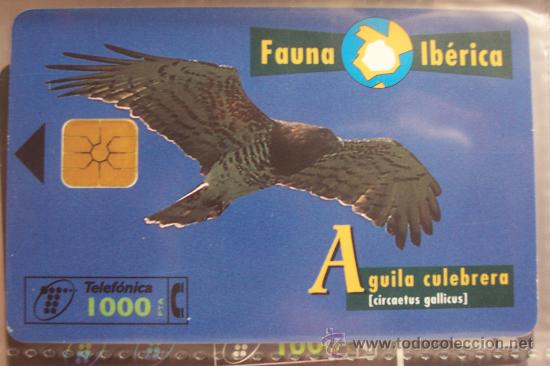 Sammlung von Telefonkarten: TARJETA TELEFONICA-fauna iberica-aguila culebrera