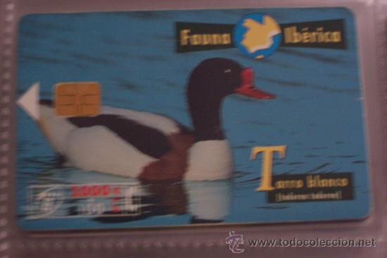 Sammlung von Telefonkarten: TARJETA TELEFONICAFAUNA IBERICA-tarro blanco