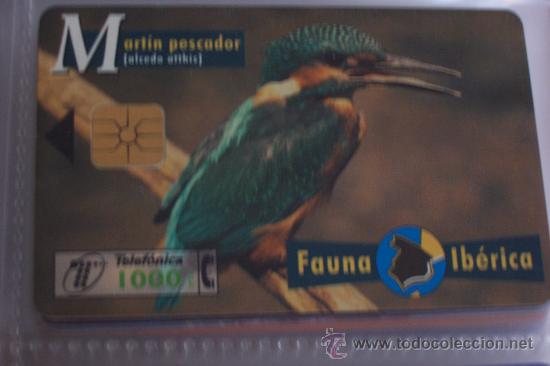 Sammlung von Telefonkarten: TARJETA TELEFONICAFAUNA IBERICA-martin pescador