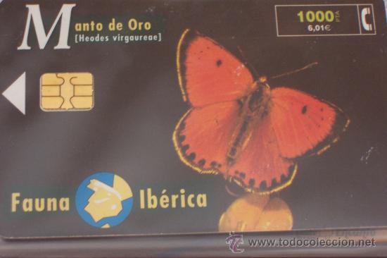 Sammlung von Telefonkarten: TARJETA TELEFONICA-fauna iberica-manto de oro