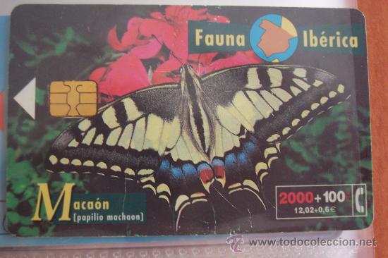 Sammlung von Telefonkarten: TARJETA TELEFONICA-fauna iberica-macaon