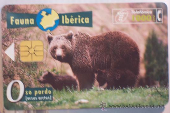 Sammlung von Telefonkarten: TARJETA TELEFONICA-fauna iberica-oso pardo