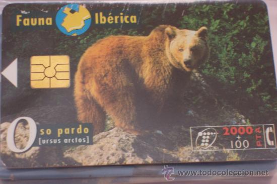 Sammlung von Telefonkarten: TARJETA TELEFONICA-fauna iberica-oso pardo-2000ptas