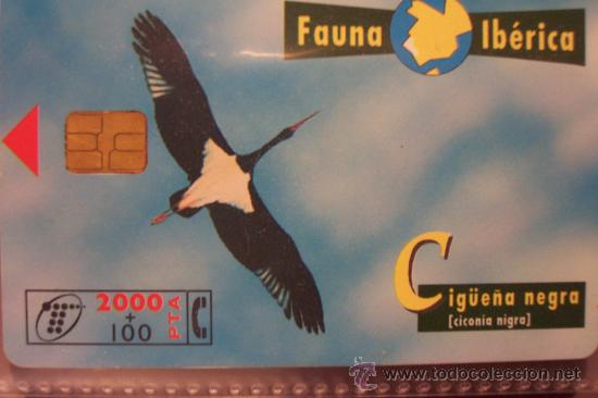 Sammlung von Telefonkarten: TARJETA TELEFONICA-fauna iberica-cigue&ntilde;a negra