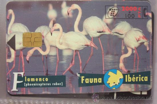 Sammlung von Telefonkarten: TARJETA TELEFONICA-fauna iberica-flamenco
