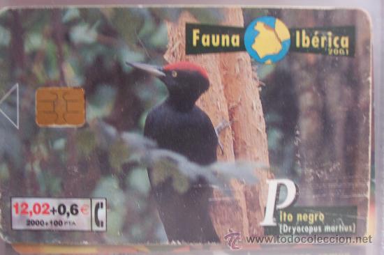 Sammlung von Telefonkarten: TARJETA TELEFONICA-fauna iberica-pito negro