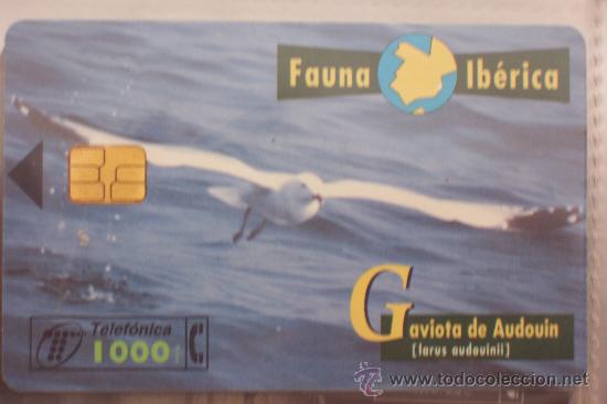 Sammlung von Telefonkarten: TARJETA TELEFONICA-fauna iberica-gaviota