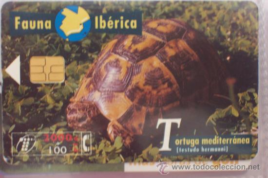 Sammlung von Telefonkarten: TARJETA TELEFONICA-fauna iberica-tortuga mediterranea