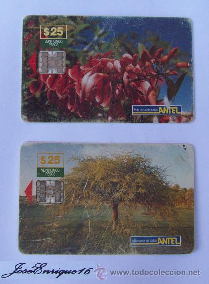 Cartes T&eacute;l&eacute;phoniques de collection: ARBOLES URUGUAY, CEIBO Y ALGARROBO. ANTEL, DOS TARJETAS