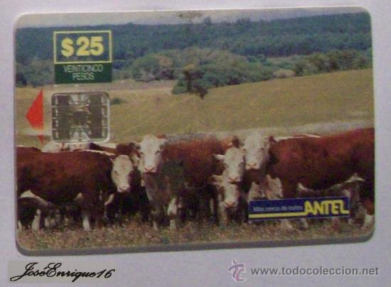 Cartes T&eacute;l&eacute;phoniques de collection: URUGUAY - TARJETA TELEFONO - PHONE CARD - ANTEL  TC  23a - GANADO, ELIAS REGULES