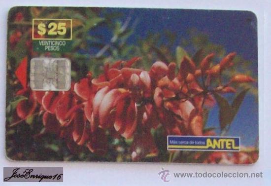 Carte telefoniche di collezione: TC 52a TREE - ARBRE - ARBOL CEIBO - ANTEL URUGUAY