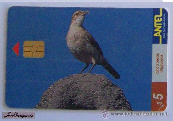 Cartes T&eacute;l&eacute;phoniques de collection: TC 77a  bird, oiseaux, ave del URUGUAY, HORNERO, FMARIUS RUFUS