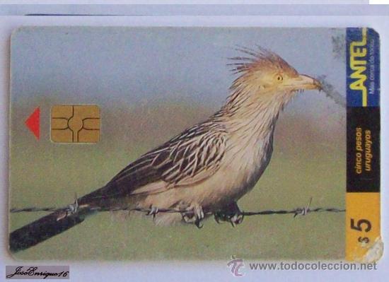 Cartes T&eacute;l&eacute;phoniques de collection: TC 78a  bird, oiseaux, ave del URUGUAY,  PIRINCHO, GUIRA GUIRA