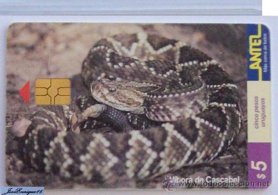 Cartes T&eacute;l&eacute;phoniques de collection: TC 84a VIPER URUGUAY REPTILES - VIBORA DE CASCABEL - CROTALUS DURISSUS