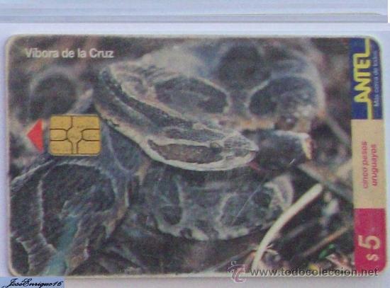 Cartes T&eacute;l&eacute;phoniques de collection: TC 85a VIPER URUGUAY REPTILES - VIBORA DE LA CRUZ - BOTHROPS ALTERNATUS